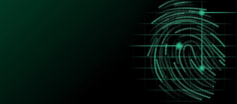 digital fingerprint
