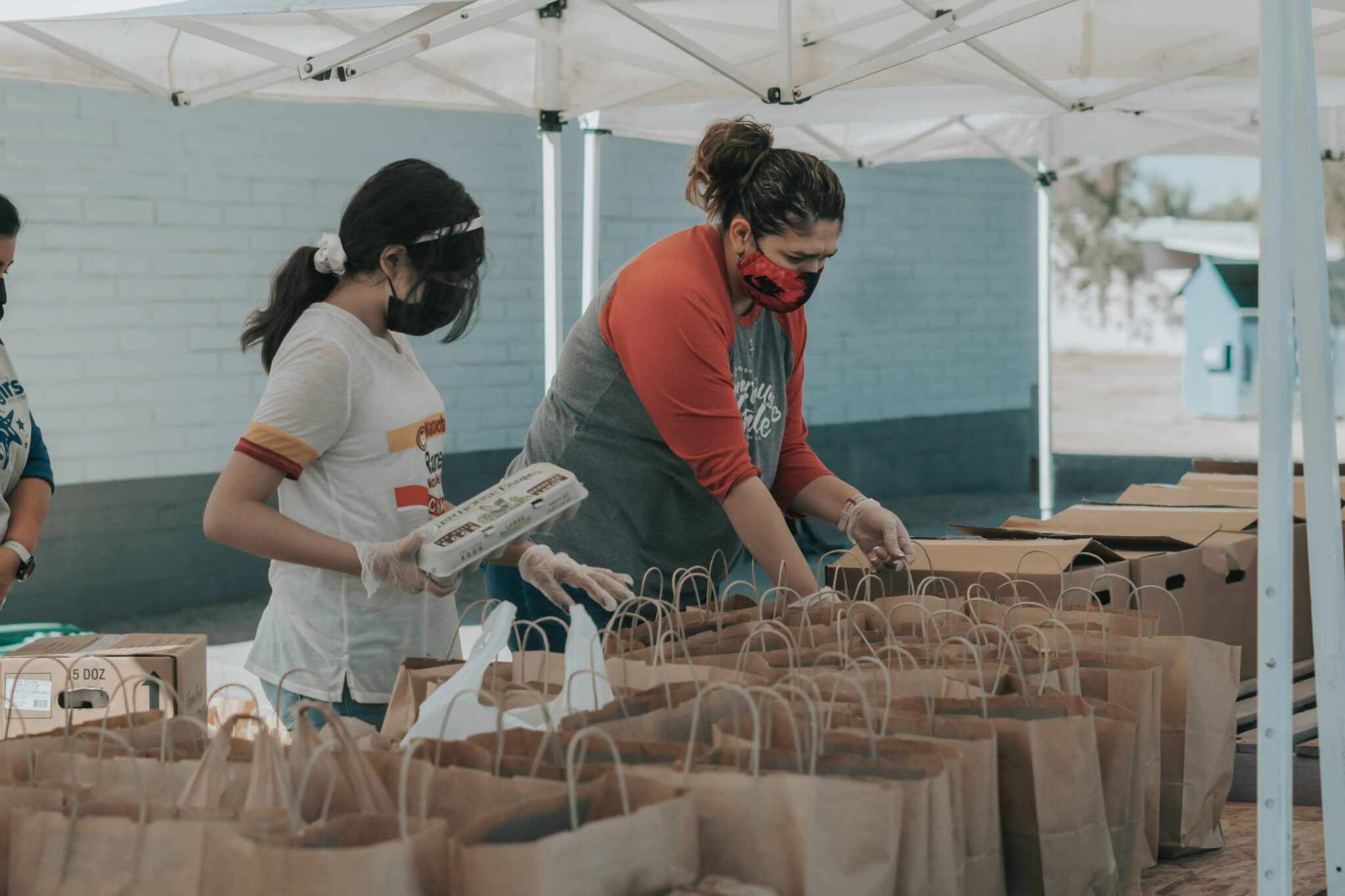 volunteer 1